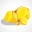 Gold Rush Slots Icon