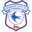 Cardiffcityfcstore Icon