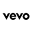 Vevo Icon