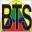 BTS Electric of Lodi Icon