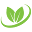 Maxizest Icon