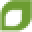 CoachAccountable Icon