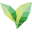 Good Earth Tea Icon