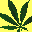 Weedsthatplease Icon