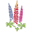 Westcountrylupins.co.uk Icon