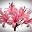 Nerines.com Icon