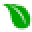 Nutrissentials Icon