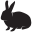 Our Lovely Rabbits Icon