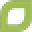 Ever Bamboo Icon