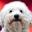 Pet Life Radio Icon