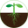 Planted Places Icon