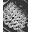 Whispersisters Icon