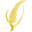 Rostaa Icon