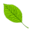 The Watering Mouth Icon