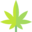 Thewellnesstemple CA Icon