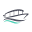 Chicago Electric Boat Company Icon