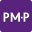 PM-Partners group Icon