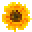 ClueCommerce Icon