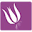 Miadomskincare Icon