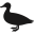Bigducknyc Icon