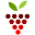 Winealign Icon