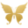 Wingsintimates Icon