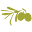 Oliove.com Icon