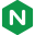 NGINX Icon