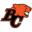 BC Lions Icon