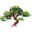 Witnessingnature Icon
