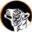 Speakingtigerbooks Icon