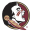 Seminoles Icon