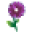 CheapFlowers.com Icon