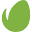 Envato Icon