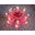 Lotus Candles Icon