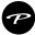 Paradigm Audio Icon