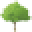 The Natural Icon