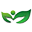 Health Buffet Icon