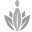 Thelodgeatwoodloch Icon