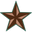 Corral Western Wear Icon