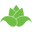 Fresh Fresh Flowers Icon