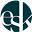 eSkinStore Icon