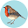 GardenBird Icon