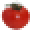 GrowTomatoPlants.org Icon