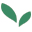 Yogabysprigs Icon