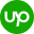 oDesk Icon