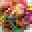 Yourlysonline Icon