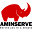 AMinServe Icon
