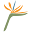 Paradisepoint Icon