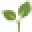 Allnaturalsavings Icon